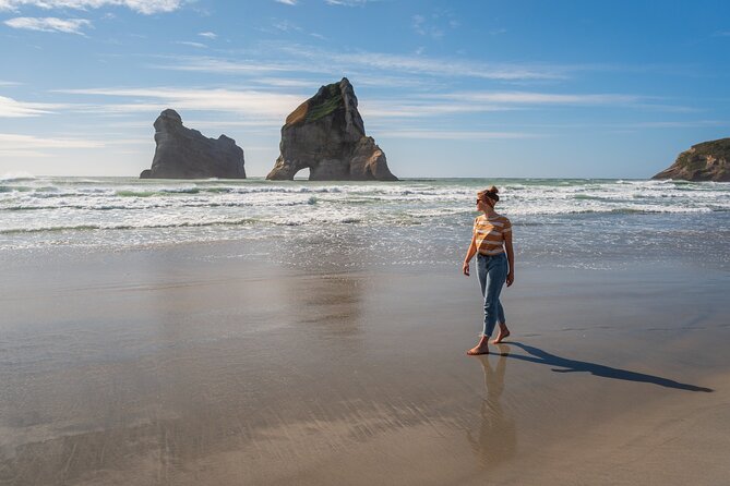 Golden Bay in a Day - Lunch, guiding, and what the $266.23 price includes