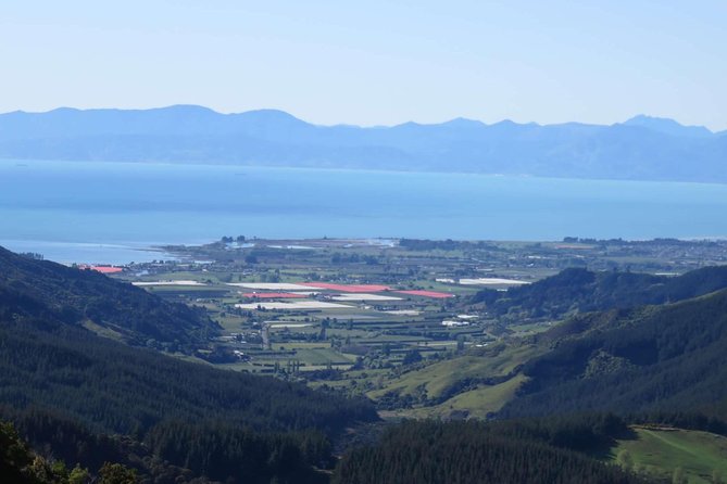 Golden Bay in a Day - Entering Golden Bay through farmland and Takaka