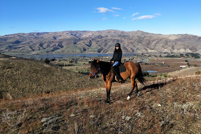 Golden Hills Horse Trek in Central Otago - Why this ride works so well for beginners