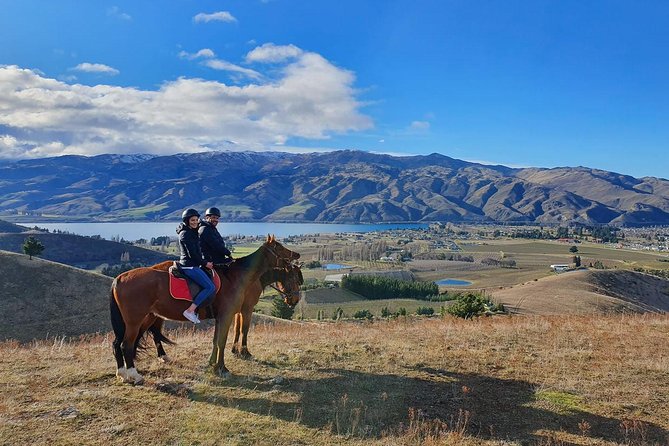 Golden Hills Horse Trek in Central Otago - Timing, meeting point, and what to bring