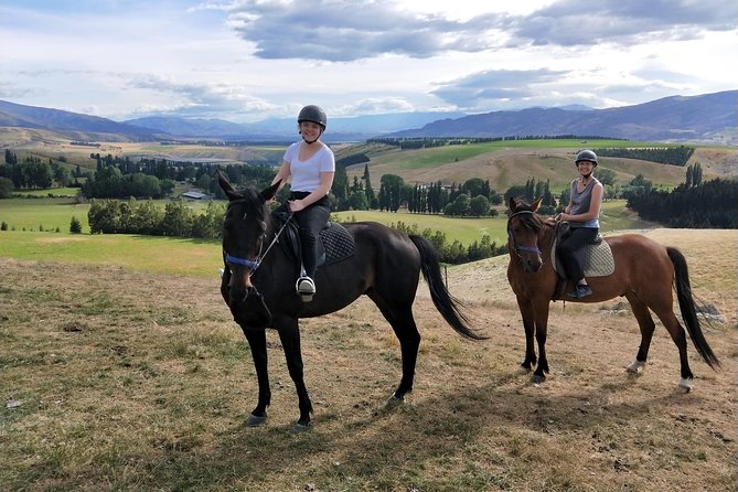 Golden Hills Horse Trek in Central Otago - The two-hour route through Central Otago orchards