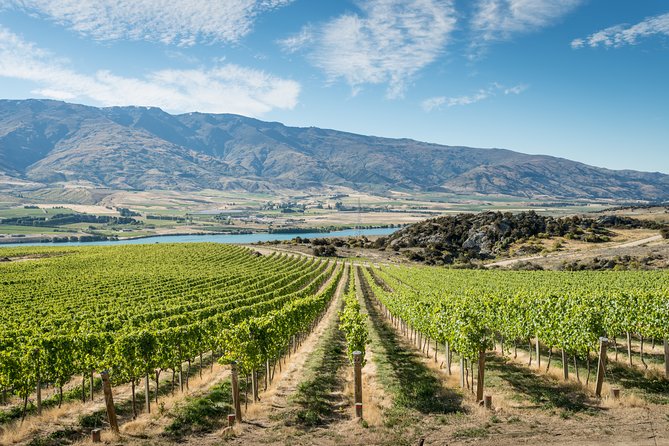 Gourmet Food and Wine Tour Queenstown All-Inclusive Tour - The essentials at a glance