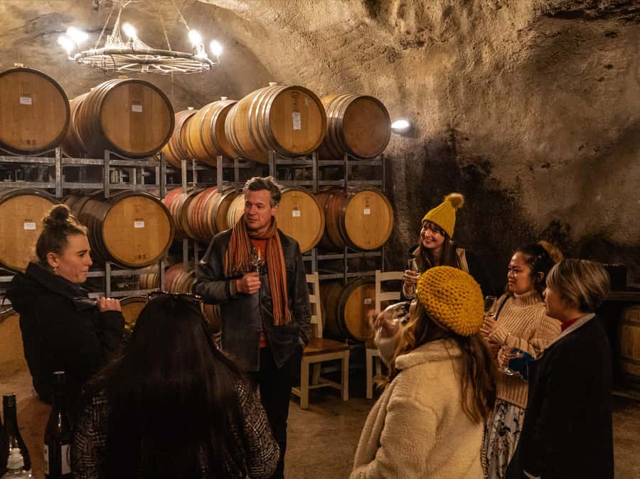 Gourmet Food and Wine Tour with Lunch and Wine Tastings - What you get for $196