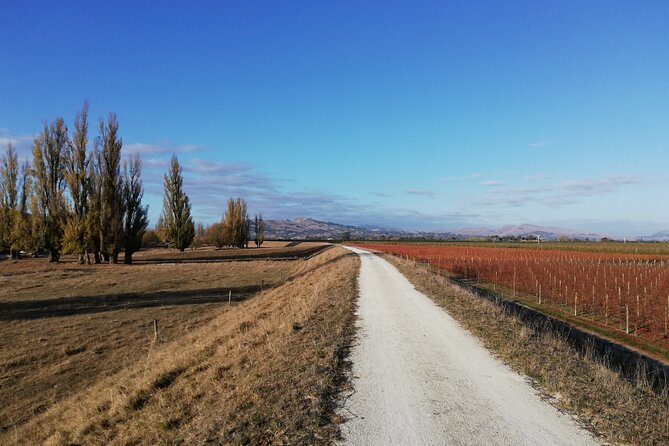 Great Escape Self-Guided Scenic Cycle Winery Tour from Napier - Why this Napier bike tour works so well