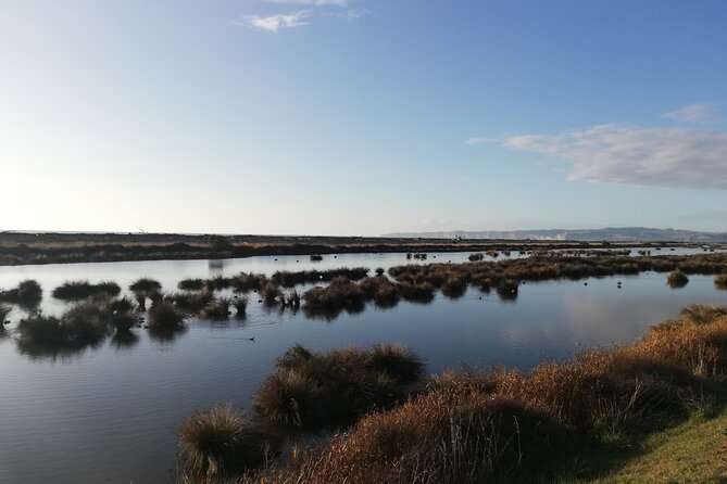 Great Escape Self-Guided Scenic Cycle Winery Tour from Napier - Starting at 117 Marine Parade in Napier