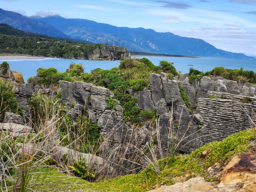 Greymouth: Full-Day Best Of The West Tour - The coastal road to Punakaiki