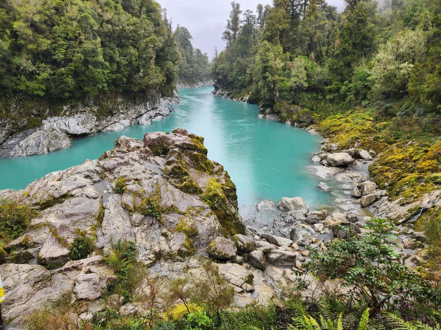 Greymouth: Hokitika Gorge and Tree Top Walkway Half-Day Tour - The Hokitika Tower and optional zipline