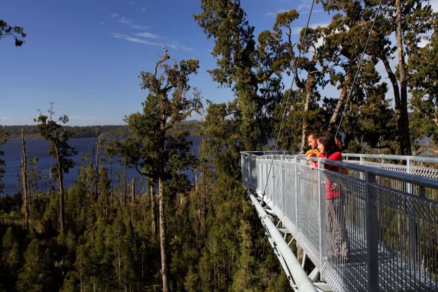 Greymouth: Hokitika Gorge and Tree Top Walkway Half-Day Tour - The drive from Greymouth to Hokitika Gorge
