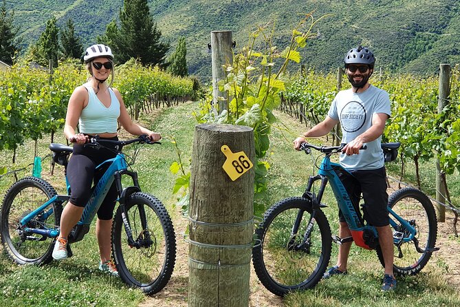 Guided eBike Wine Tour Ride to the Vines - The best parts at a glance