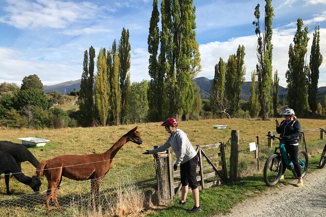 Guided eBike Wine Tour Ride to the Vines - Starting at CountryLane Retail Village