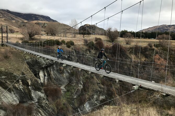 Guided eBike Wine Tour Ride to the Vines - Alpacas and goats at Arrow Junction