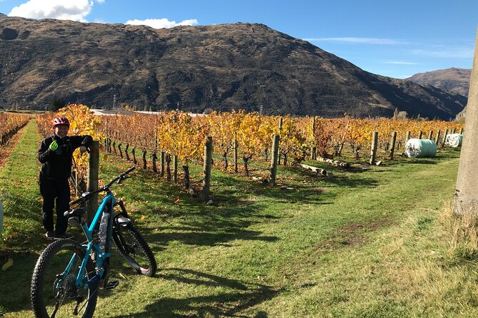Guided eBike Wine Tour Ride to the Vines - Gibbston wine tasting after the ride