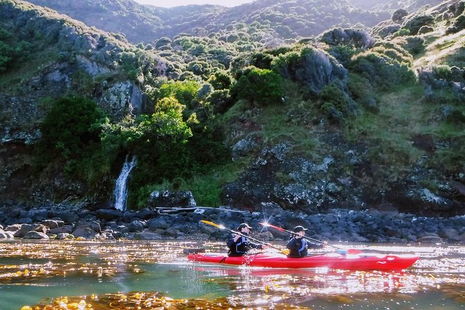 Guided Electric Mountain Bike & Sea Kayak Tour in Akaroa - Why this Akaroa combination works so well
