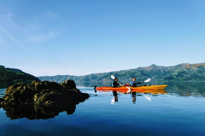 Guided Electric Mountain Bike & Sea Kayak Tour in Akaroa - The 30-minute changeover