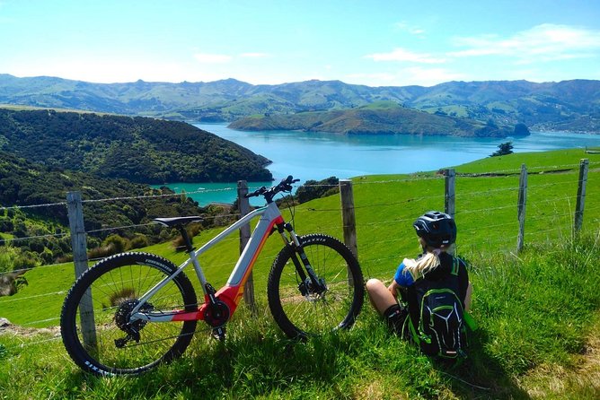 Guided Electric Mountain Bike & Sea Kayak Tour in Akaroa - Is $192.38 a fair price?