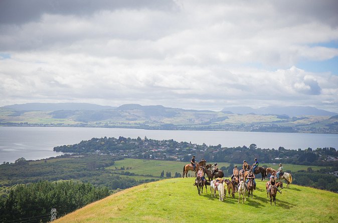 Guided Horse Trekking from Rotorua - Riding into the Mt. Ngongotaha foothills