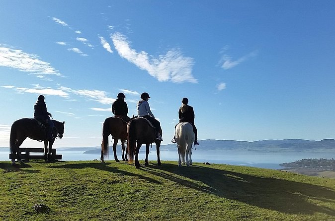 Guided Horse Trekking from Rotorua - Is $68.26 good value for one hour?
