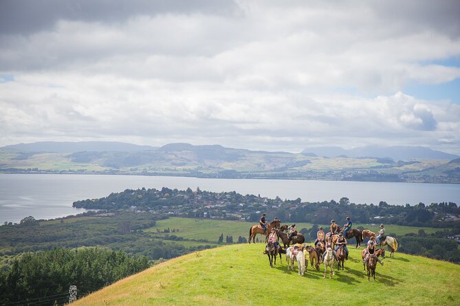 Guided Horse Trekking from Rotorua - The climb to Lake Rotorua views