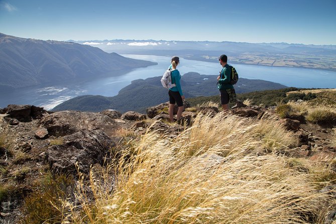 Guided Kepler Track Heli Hike - Native beech forest and limestone bluffs
