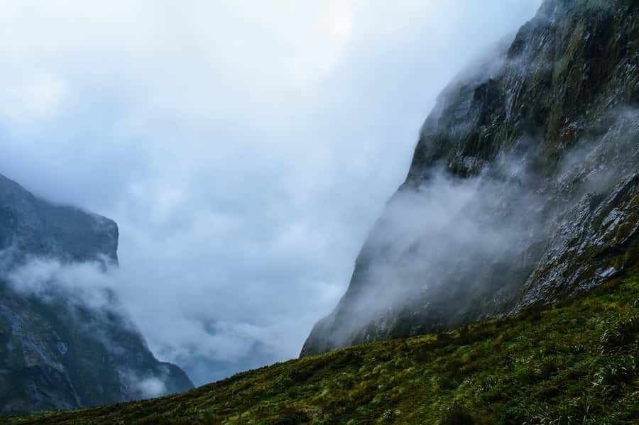 Guided Private Milford Sound Day Tour from Te Anau(Cruise In - Key points at a glance