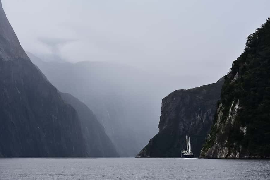 Guided Private Milford Sound Day Tour from Te Anau(Cruise In - Arriving at Milford Sound for the cruise