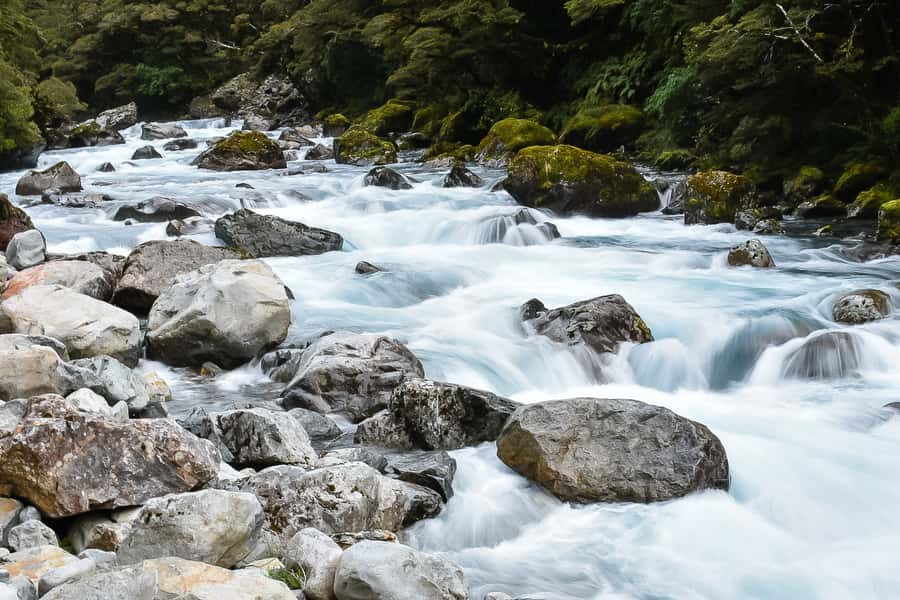 Guided Private Milford Sound Day Tour from Te Anau(Cruise In - Leaving Te Anau in a quiet Tesla