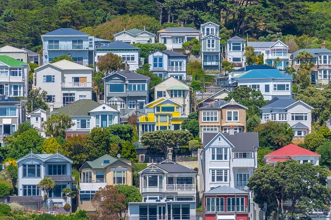 Guided Small Group Walking Tour in Wellington - Wellington Botanic Garden in 30 minutes