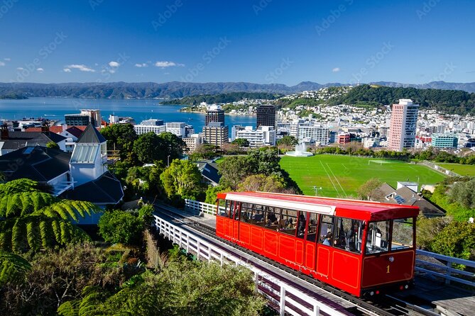 Guided Small Group Walking Tour in Wellington - Reaching the cable car viewpoint