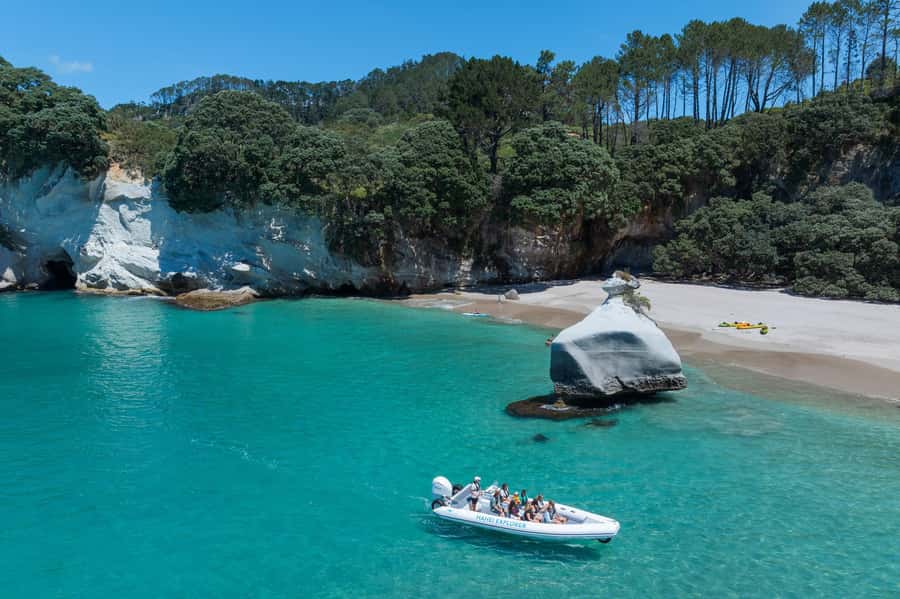 Hahei Explorer Cathedral Cove Boat Tour - Key points to know before you book