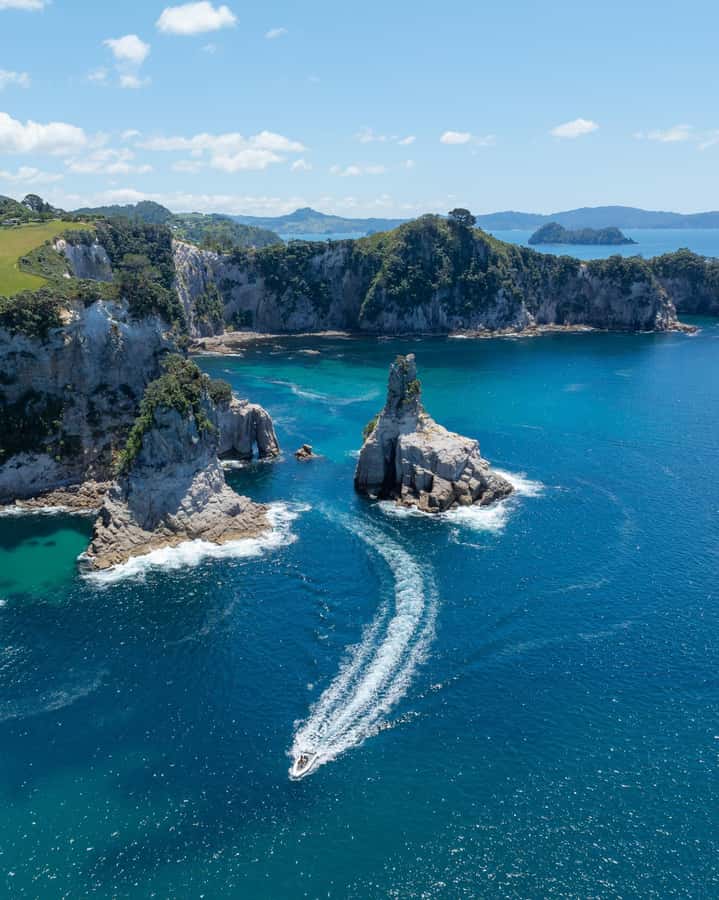 Hahei Explorer Cathedral Cove Boat Tour - Fish and the Cathedral Cove Marine Reserve