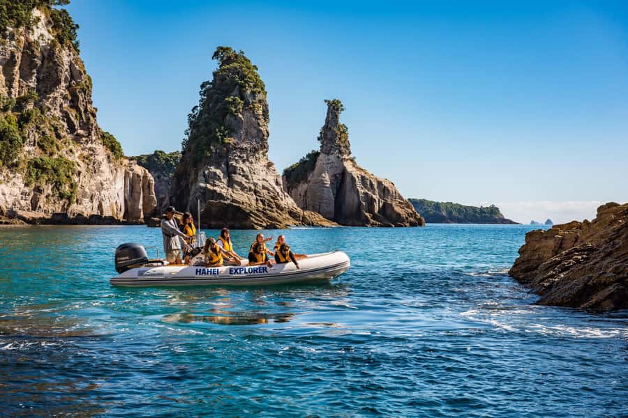 Hahei Explorer Cathedral Cove Boat Tour - Is $86 good value for one hour?