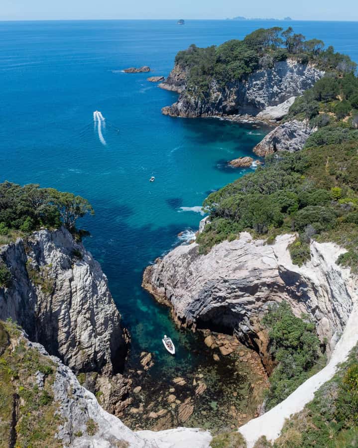 Hahei Explorer Cathedral Cove Boat Tour - Who should take the Hahei Explorer?