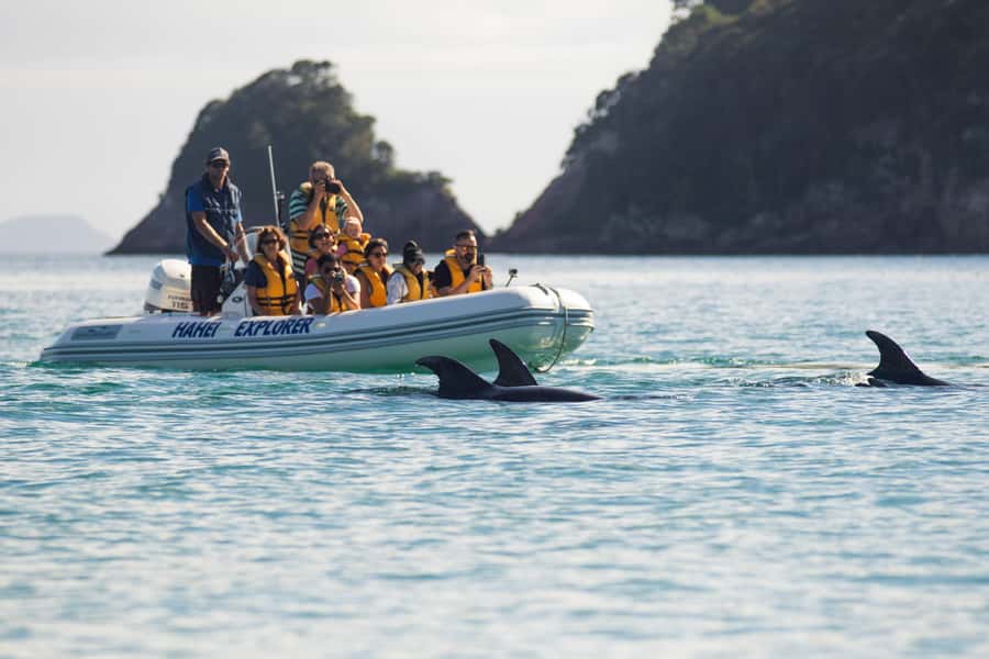 Hahei Explorer Cathedral Cove Boat Tour - One hour along 14 kilometers of coast
