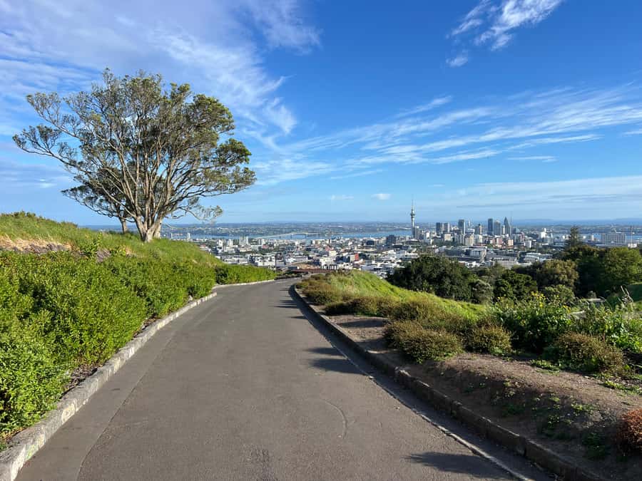 Half-Day Auckland City Highlights Tour with Hotel Pickup - Key points at a glance