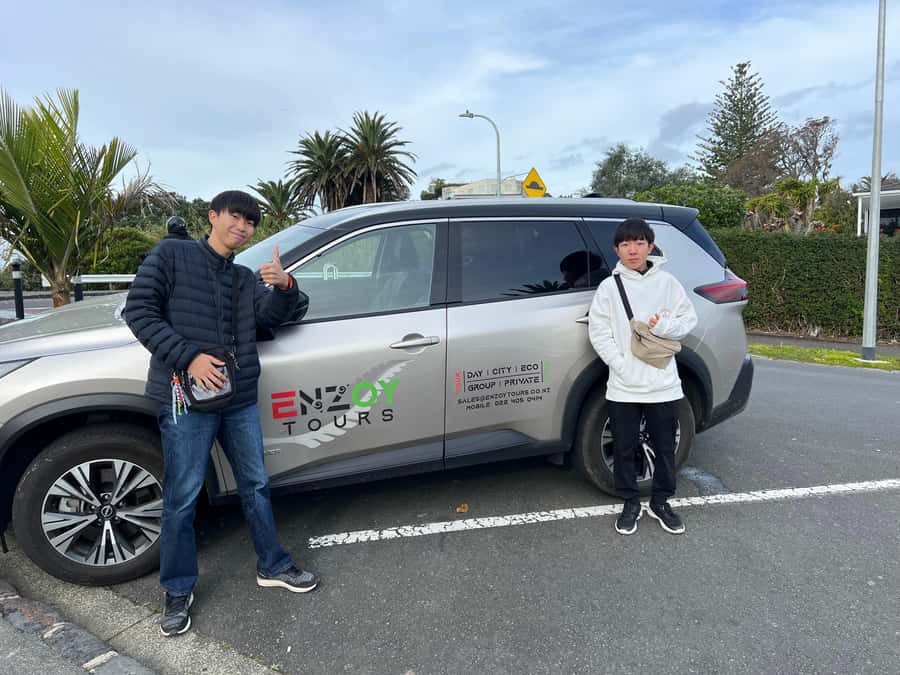 Half-Day Auckland City Highlights Tour with Hotel Pickup - Who will get the most from this tour?