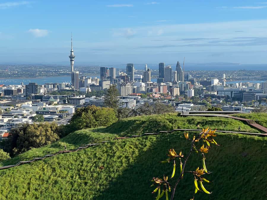 Half-Day Auckland City Highlights Tour with Hotel Pickup - Starting in Auckland CBD and crossing the harbor