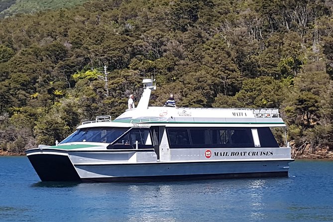 Half-Day Cruise in Marlborough Sounds from Picton - Key points to know before booking