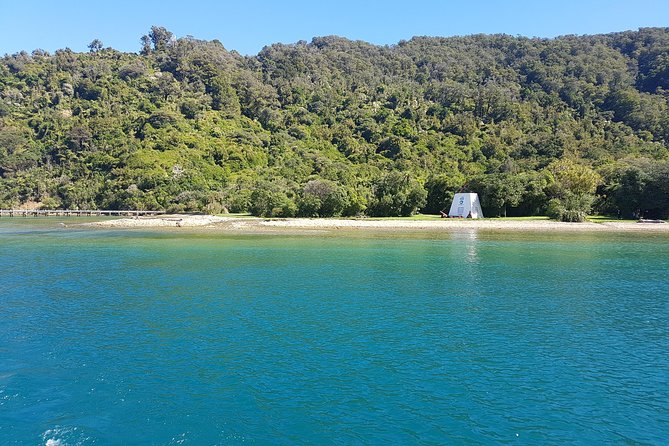 Half-Day Cruise in Marlborough Sounds from Picton - Wildlife, weather, and the luck factor