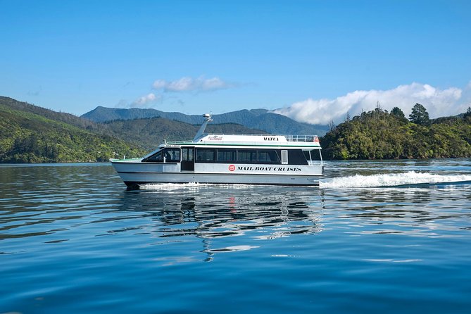 Half-Day Cruise in Marlborough Sounds from Picton - Leaving Picton at 9:00 am
