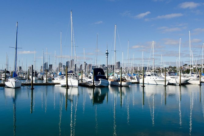 Half-day Discover Auckland City Sightseeing Tour - Auckland Domain, Museum, Parnell, and the rose gardens