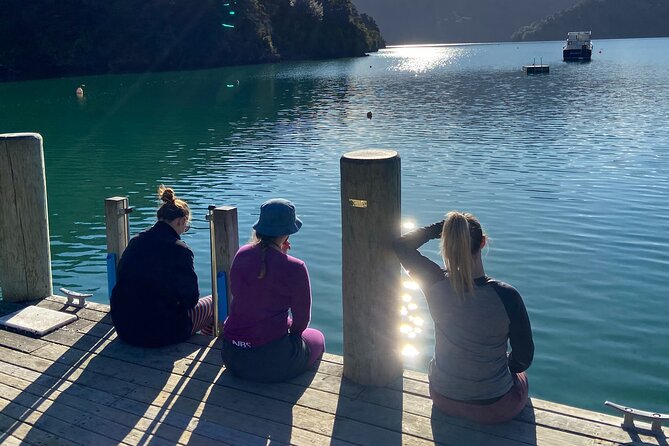 Half-Day Guided Sea Kayak Trip from Picton - Meeting on the Picton Waterfront