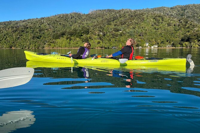 Half-Day Guided Sea Kayak Trip from Picton - Wildlife, Māori Stories, and the Value of a Local Guide
