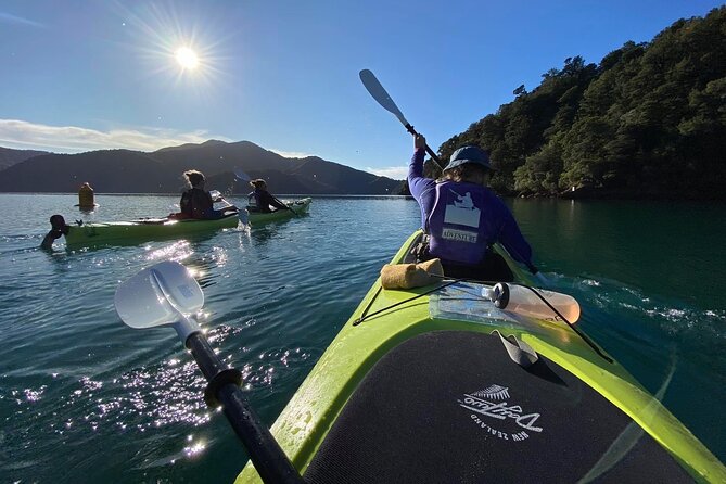 Half-Day Guided Sea Kayak Trip from Picton - Morning or Afternoon: Choosing Your Departure
