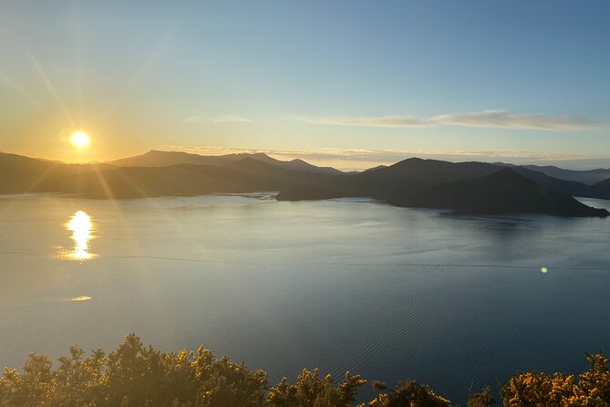 Half-Day Guided Sea Kayak Trip from Picton - Ngakuta Bay and the Van Ride Home