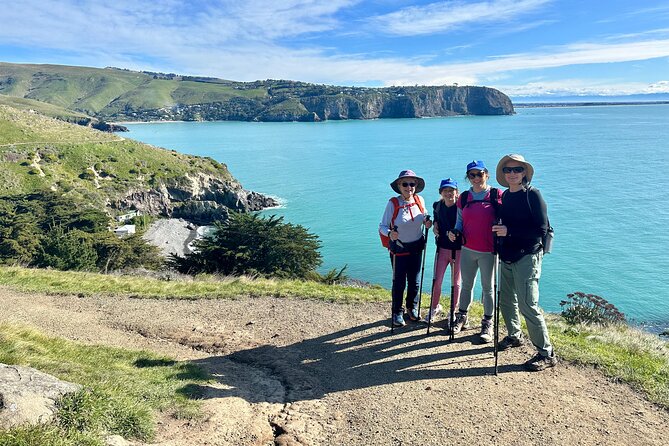 Half Day Guided Walking Tour on Banks Peninsula - Drinks, snacks, and the small comforts