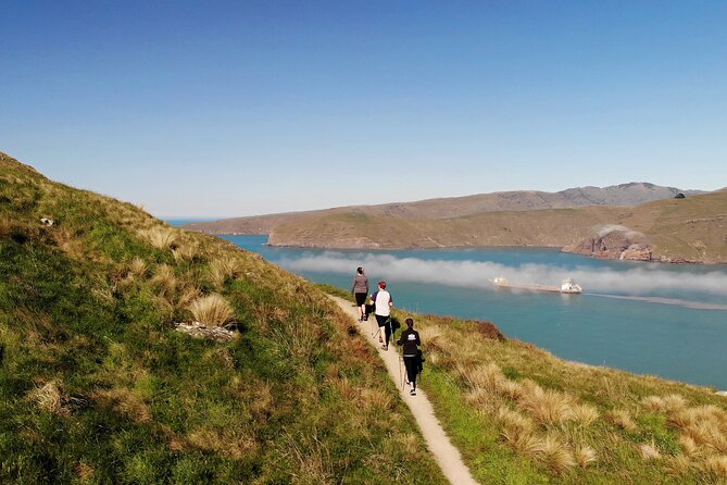 Half Day Guided Walking Tour on Banks Peninsula - Walking the 4-kilometer Godley Head Loop
