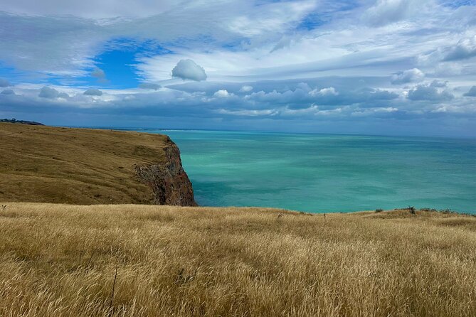 Half Day Luxury Private Guided Crater Rim Walk - Why a private guide changes the walk