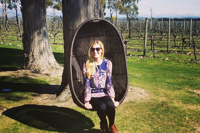 Half-Day Marlborough Wine Tour & Beer Tour - Why this half-day tour works well in Marlborough