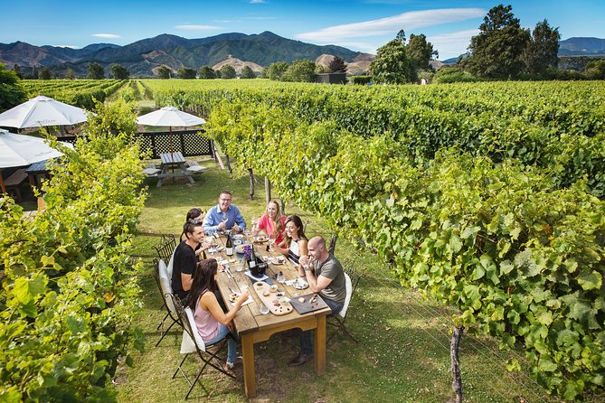 Half-Day Marlborough Wine Tour & Beer Tour - Allan Scott and the possibility of a second food stop