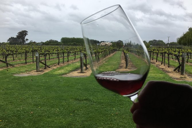 Half-Day Marlborough Wine Tour & Beer Tour - Saint Clair and the long lunch break